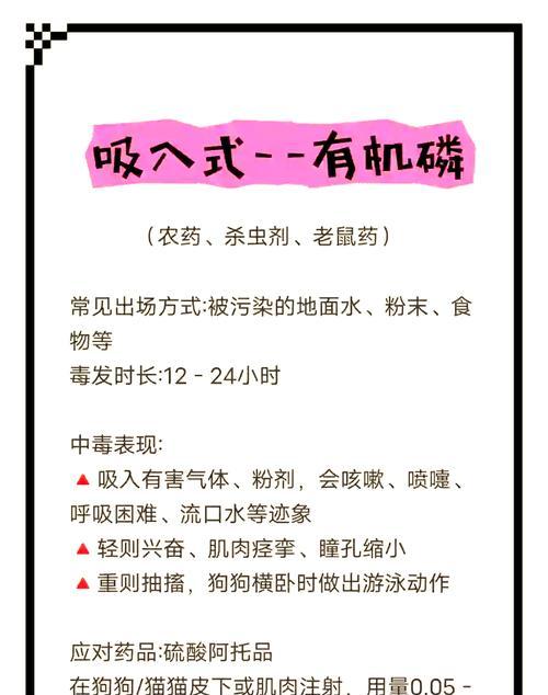 最近猫粮投毒事件频发？如何确保宠物安全？