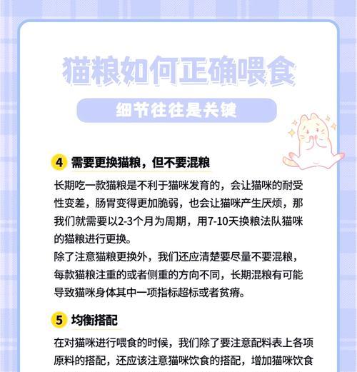 自制湿猫粮的喂食方法是什么？