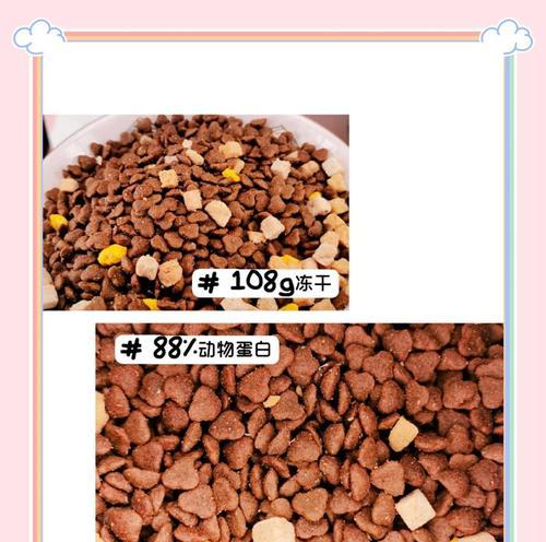 自制湿猫粮的喂食方法是什么？
