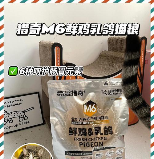玻璃米缸储存猫粮是否合适？正确的放置方法是什么？