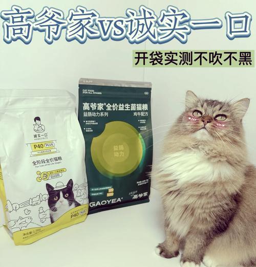猫粮里可以掺鸡蛋吗？这样做有什么好处？