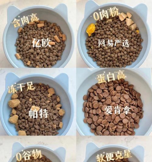 猫咪是否必须食用新鲜猫粮？