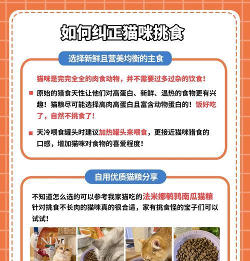 家养猫不爱吃猫粮怎么办？有哪些方法可以提高食欲？