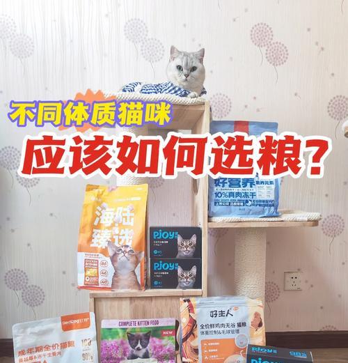 市面上最好的凯多猫粮是什么？如何选择适合自家猫咪的猫粮？