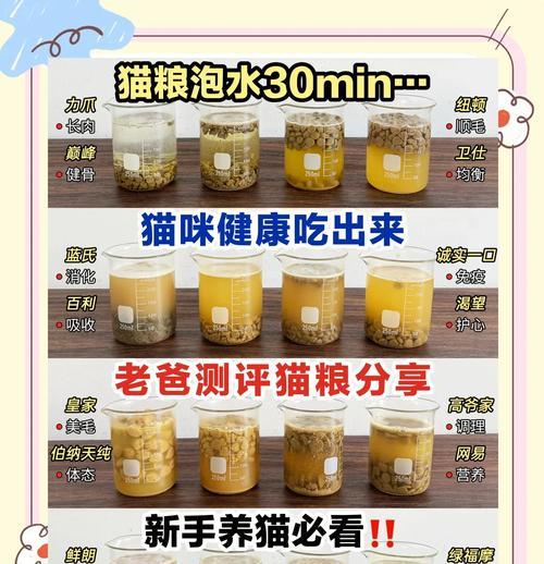 四个月大猫咪猫粮如何挑选？