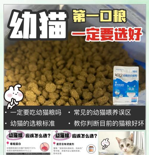 哪些品牌的幼猫猫粮易消化？如何挑选适合幼猫的猫粮？