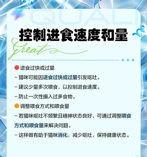 猫咪过量进食猫粮的后果和控制方法是什么？