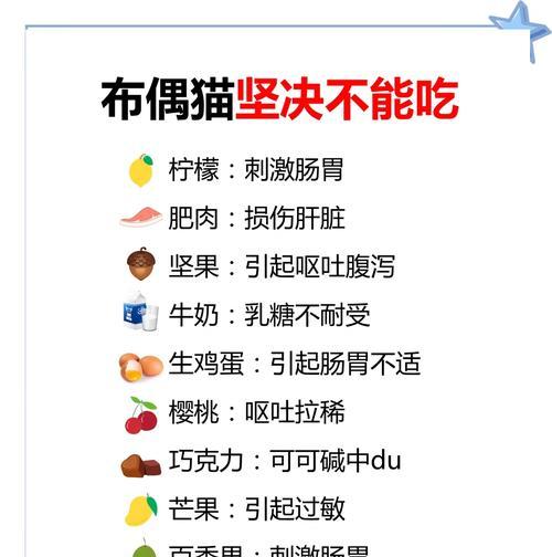 布偶猫吐粮后应该吃什么药？如何处理布偶猫的呕吐问题？