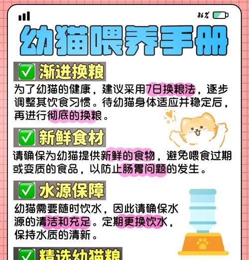 如何防止猫粮在春节期间受潮？