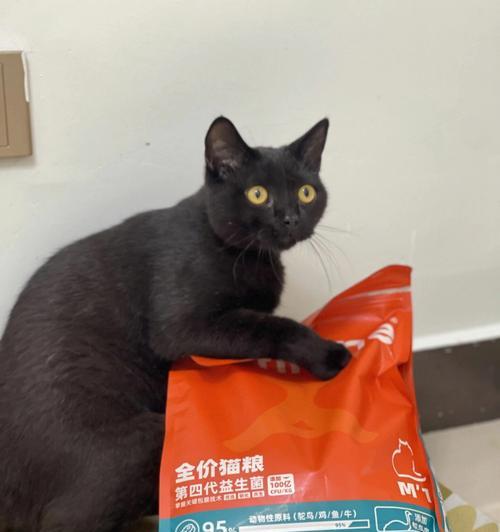 外卖小哥偷吃的猫粮怎么处理？如何避免此类事件？