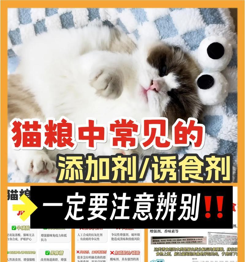 猫粮中含有诱食剂会中毒吗？诱食剂对猫咪有何影响？