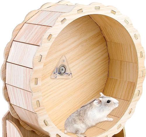 养仓鼠时应该选择哪些玩具？