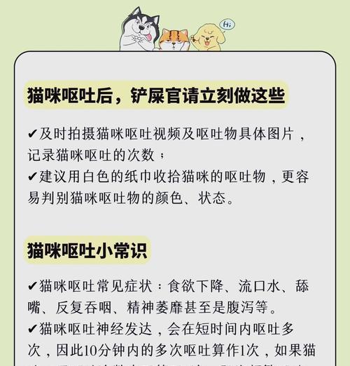猫咪频繁呕吐猫粮怎么办？有哪些治疗猫咪吐猫粮的方法？