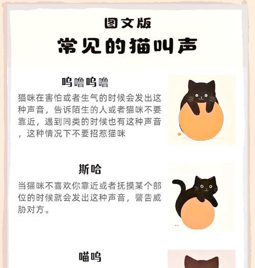 猫咪有猫粮还叫唤是什么原因？如何安抚？