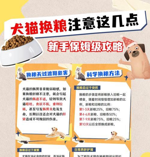 猫咪换粮后排便减少应如何处理？