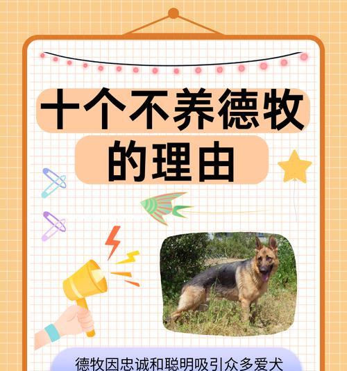猫粮烘焙低盐怎么办啊？德牧宠物护理知识有哪些？