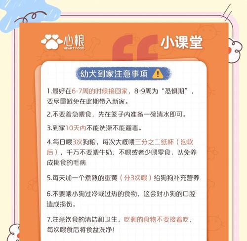 猫粮烘焙低盐怎么办啊？德牧宠物护理知识有哪些？