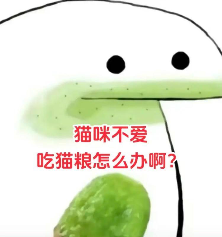 猫咪配不上拒绝归还猫粮应该怎么办？如何处理这种情况？