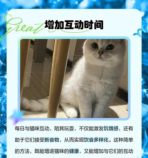 猫咪配不上拒绝归还猫粮应该怎么办？如何处理这种情况？