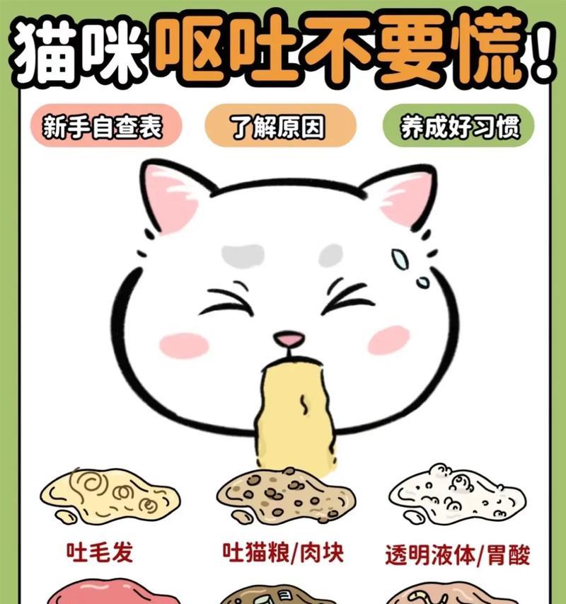 猫呕吐猫粮的原因及解决方法是什么？
