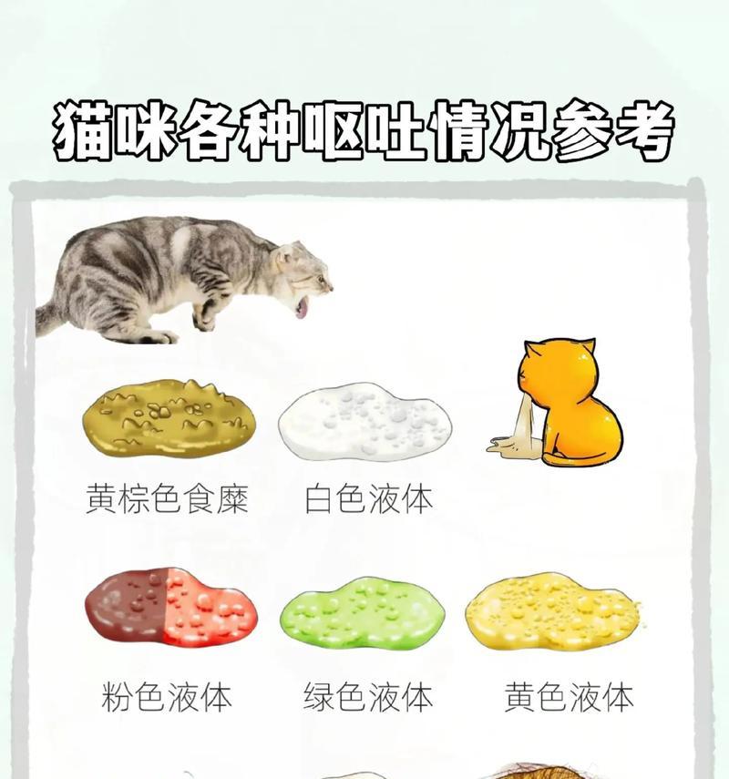 猫呕吐猫粮的原因及解决方法是什么？