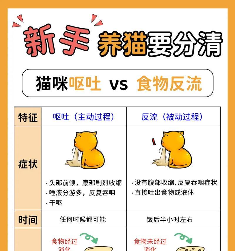 猫呕吐猫粮的原因及解决方法是什么？