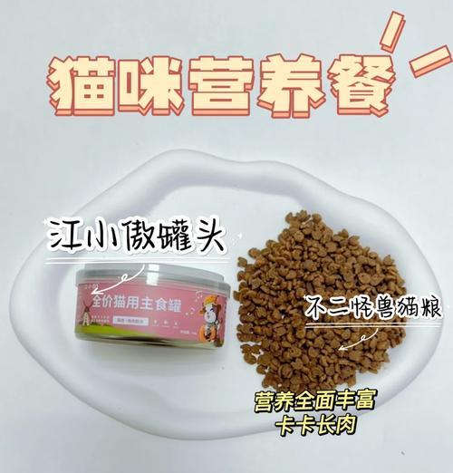 猫粮储藏罐的正确使用方法是什么？