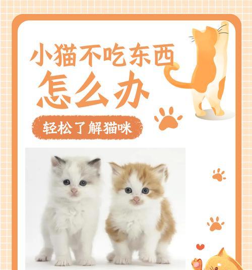 猫不嚼猫粮的原因是什么？