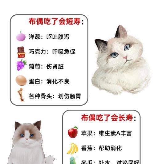 布偶猫不吃饭只吃猫粮是什么原因？如何解决？