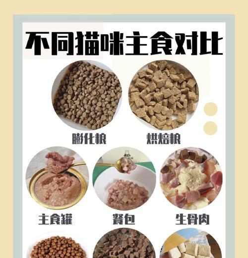 猫咪无猫粮时主食选择有哪些？如何保证营养？