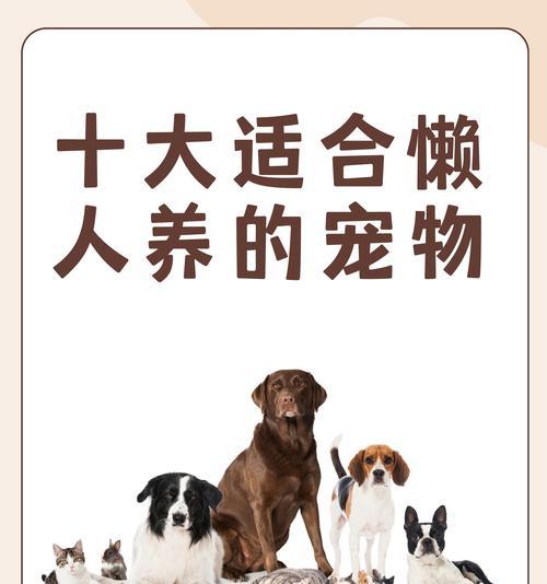 羊驼毛发护理方法？如何保持毛发的健康和光泽？