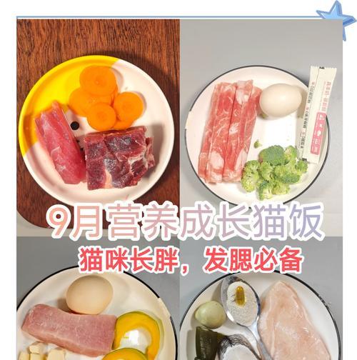 不买猫粮如何自制猫饭？有哪些简单食谱？