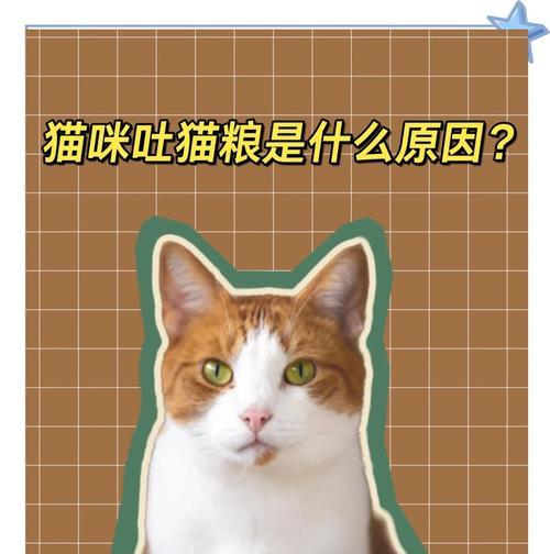 猫吃了猫粮又吐掉怎么回事？可能是什么原因导致的？