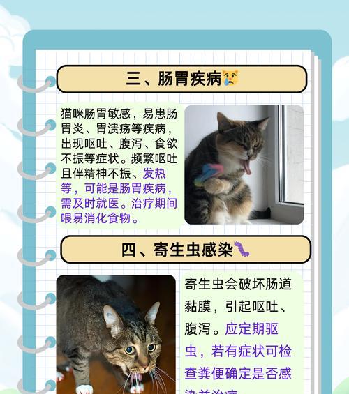 猫吃了猫粮又吐掉怎么回事？可能是什么原因导致的？