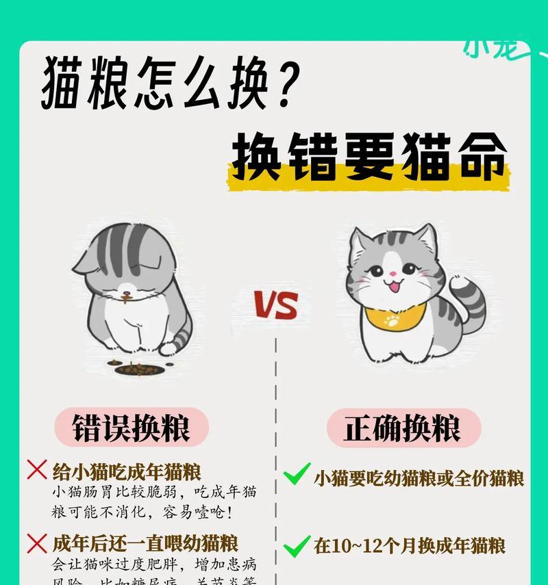 给猫留的猫粮怎么保存好？如何防止猫粮变质？