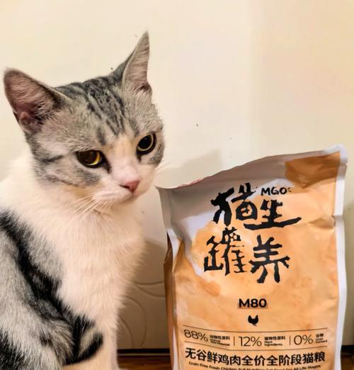 煮鸡胸肉如何与猫粮搭配？哪种搭配更美味？