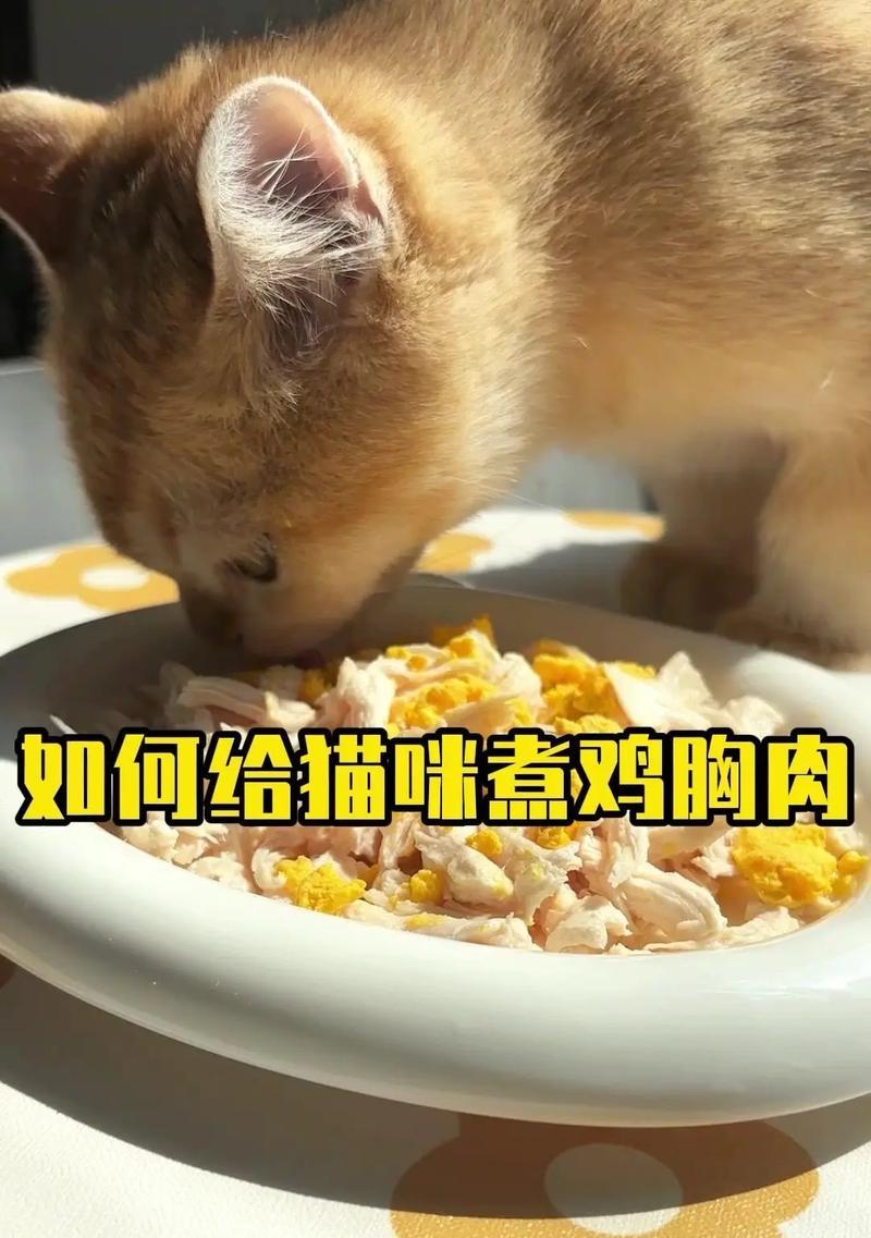 煮鸡胸肉如何与猫粮搭配？哪种搭配更美味？