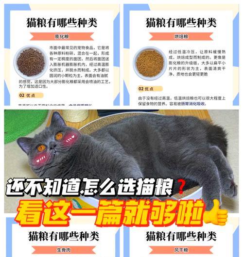 如何选择不油腻的猫粮？