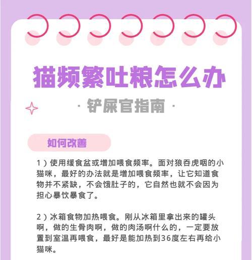 猫产后经常吐猫粮怎么回事？是否需要特别的护理？