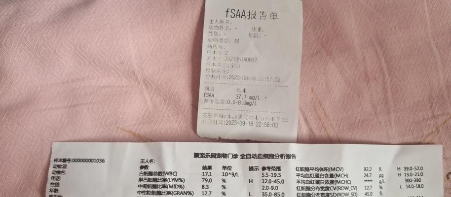 猫产后经常吐猫粮怎么回事？是否需要特别的护理？