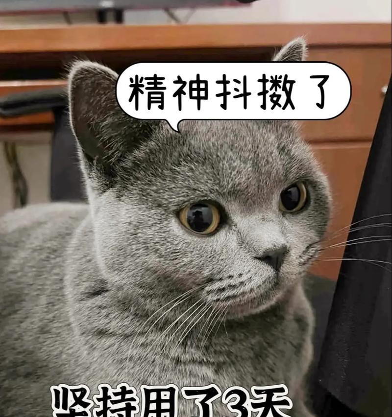 猫粮里出现鼻涕虫是怎么回事？如何处理？