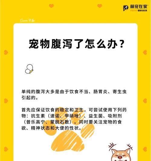 猫粮里出现鼻涕虫是怎么回事？如何处理？