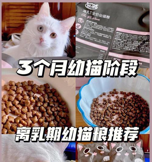 幼猫鲜猫粮的品质如何？适合哪些年龄段的猫咪？