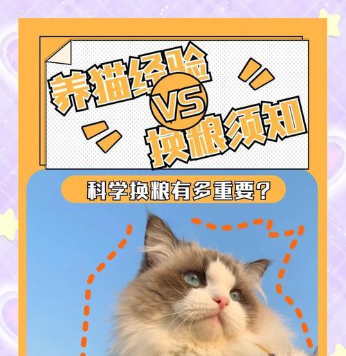 更换猫粮后猫咪不适应怎么办？如何平稳过渡？