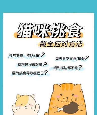 猫粮口味更换方法是什么？如何避免猫咪挑食？