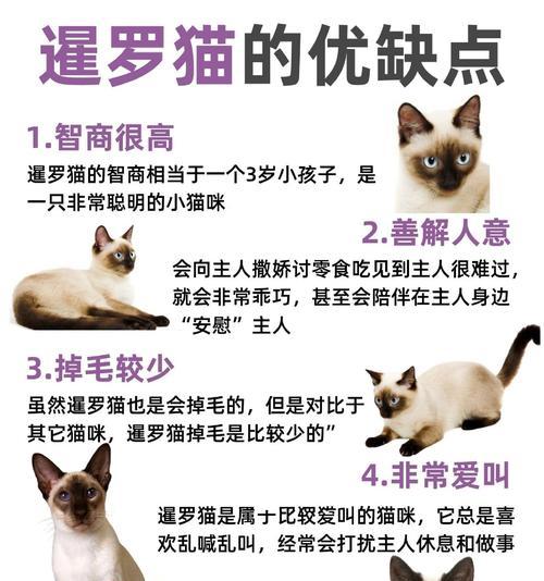 辽宁卖暹罗猫粮的地方叫什么？辽宁有哪些信誉好的宠物店？
