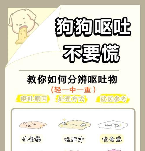狗狗叼出猫粮后弄脏了怎么办？如何防止此类情况发生？