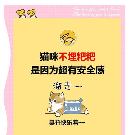 小猫闻到猫粮就埋屎是正常行为吗？背后有何原因？