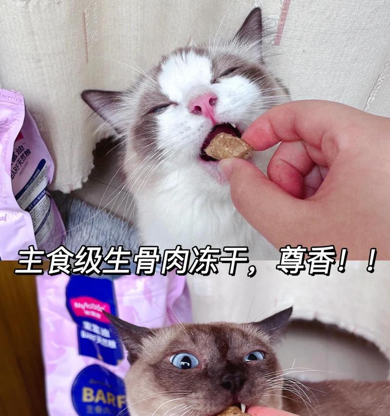 小猫闻到猫粮就埋屎是正常行为吗？背后有何原因？