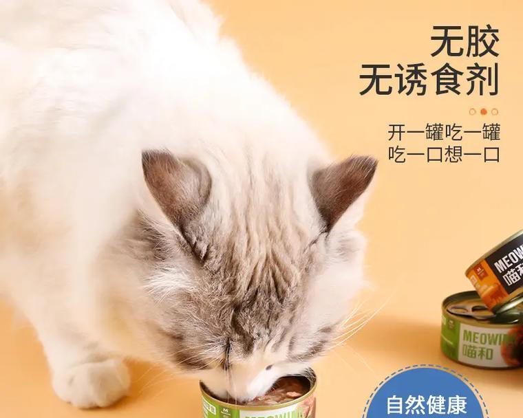 猫咪拒绝猫罐头和猫粮会有什么后果？如何解决挑食问题？